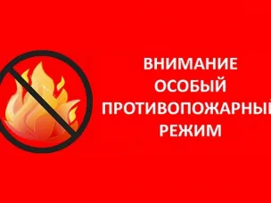 Постановлением Правительства Нижегородской области от 20 декабря 2024 года № 808 на территории Нижегородской области с 25 декабря 2024 года по 08 января 2025 года установлен, особый противопожарный режим.